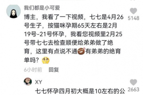 抖音娱乐吃瓜博主有哪些,揭秘热门幕后故事