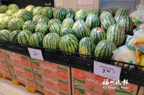 娱乐吐槽吃瓜群众,吃瓜群众热议，明星们如何应对“瓜田”风波