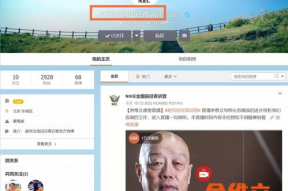 今日吃瓜娱乐直播视频回放,吃瓜娱乐大揭秘，笑料百出精彩瞬间大盘点