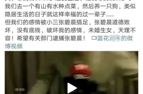 吃瓜娱乐营销号,流量背后的秘密与影响