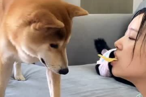 娱乐吃瓜汪星人是谁的小说