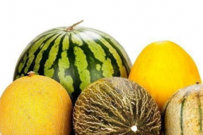 多多娱乐吃瓜,揭秘娱乐圈吃瓜背后的真相与笑料