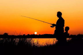 娱乐吃瓜君钓鱼,揭秘娱乐圈背后的秘密与八卦