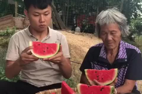 娱乐吃瓜老奶奶,吃瓜老奶奶的娱乐八卦之旅