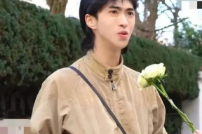 娱乐八卦吃瓜阵地是什么,揭秘“吃瓜阵地”的演变与影响