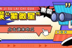 娱乐吃瓜号,热门吃瓜号背后的故事与影响
