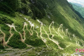 娱乐吃瓜酱拐进山里,拐进神秘山林探险记