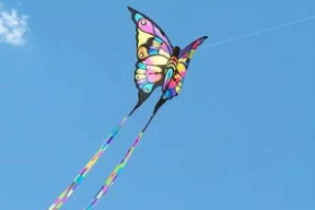 娱乐吃瓜酱风筝,揭秘娱乐圈背后的那些事儿