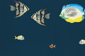 深海娱乐吃瓜,揭秘娱乐圈的“吃瓜”风云