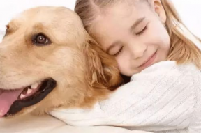 娱乐吃瓜酱狗走丢,狗狗走丢，网友助力寻回温馨故事