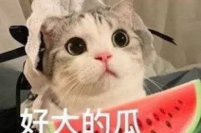 娱乐吃瓜网名女生名字,女生网名风华绝代